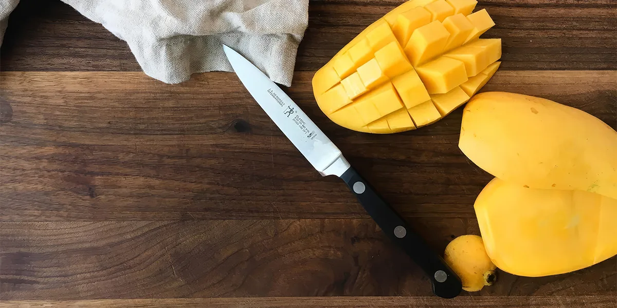 HENCKELS Classic 4-inches Paring Knife