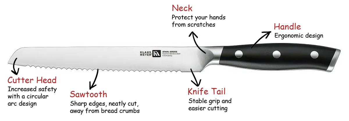 Let's break down the anatomy of a typical bread knife.