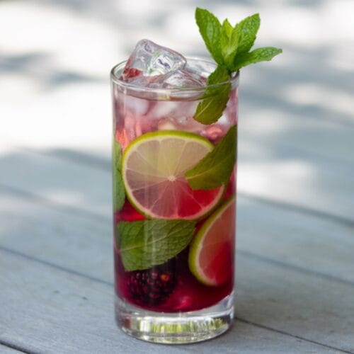 Blackberry Mint Mojito Recipe