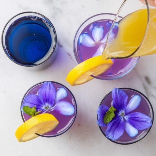 Butterfly Pea Tea Lemonade