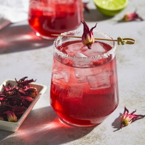 Hibiscus Margarita Recipe