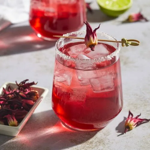 Hibiscus Margarita Recipe