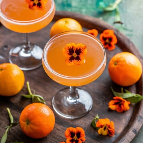 Nasturtium Tangerine Spritz