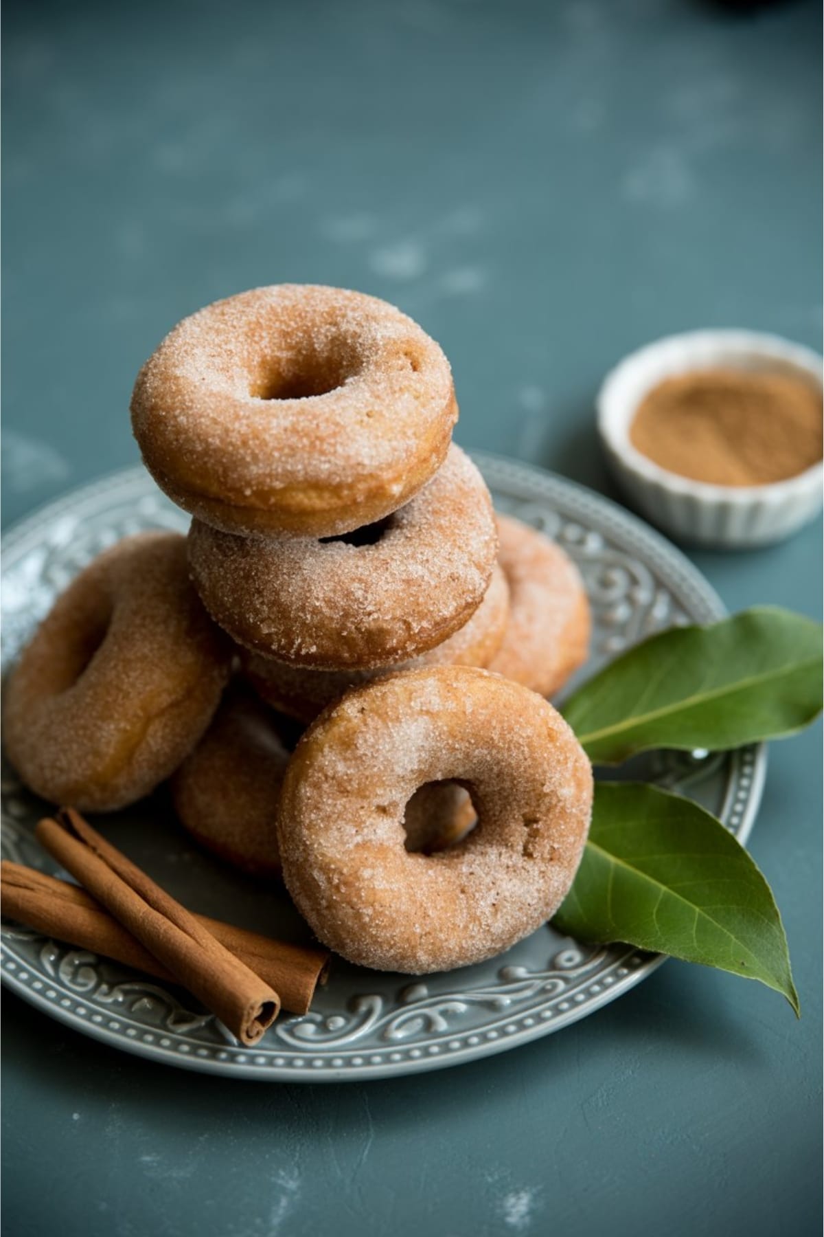 Sally's Baking Inspired Apple Cider Donuts - Baked Not Fried