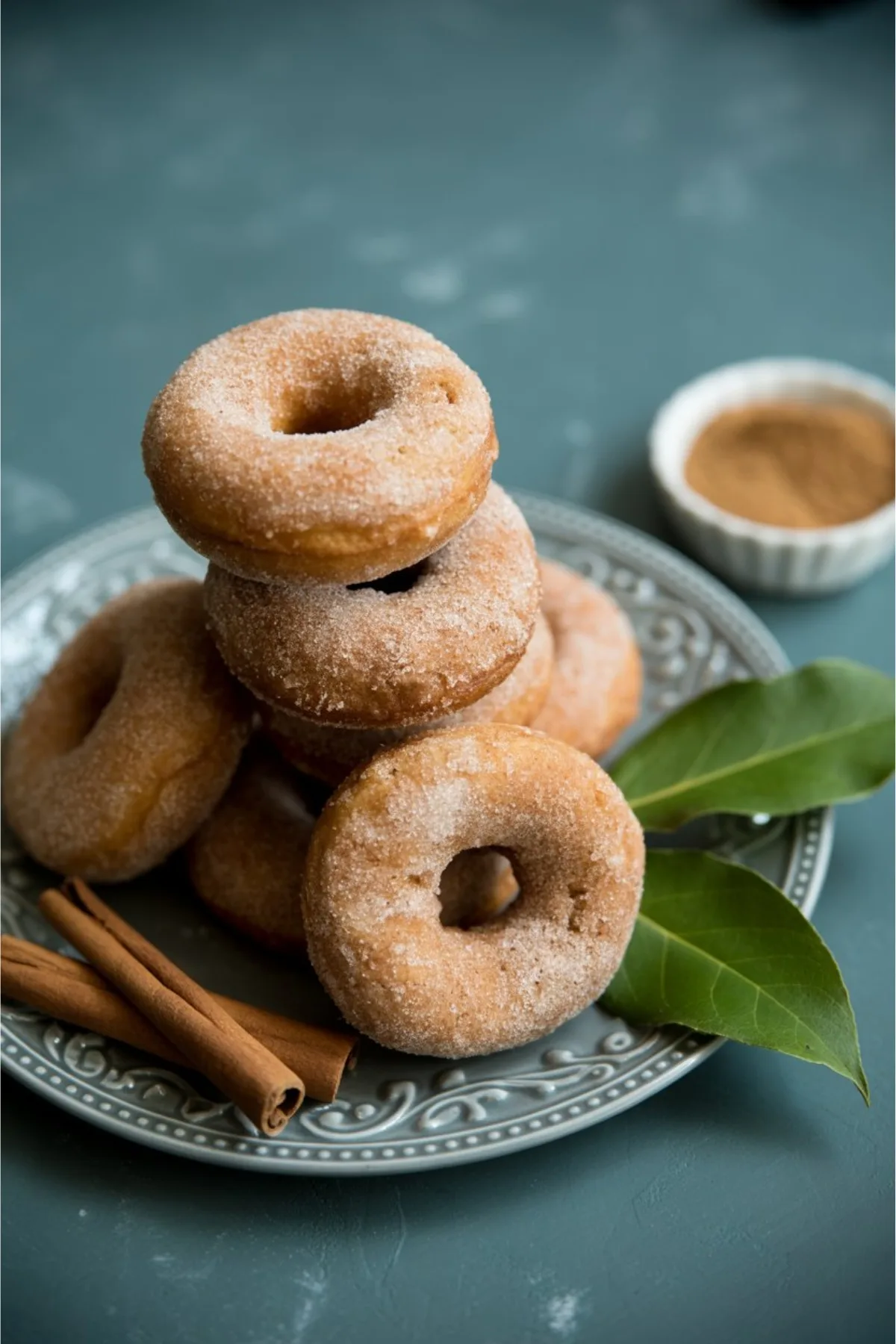 Sally's Baking Inspired Apple Cider Donuts - Baked Not Fried