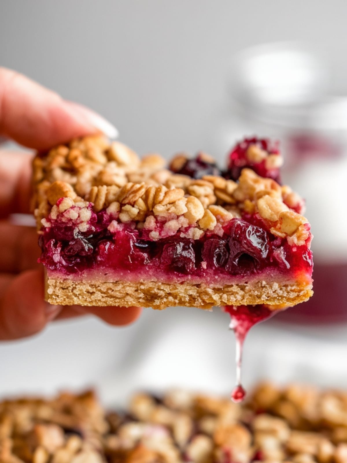 Winter Warmth - Oatmeal Cranberry Bars That Melt in Your Mouth