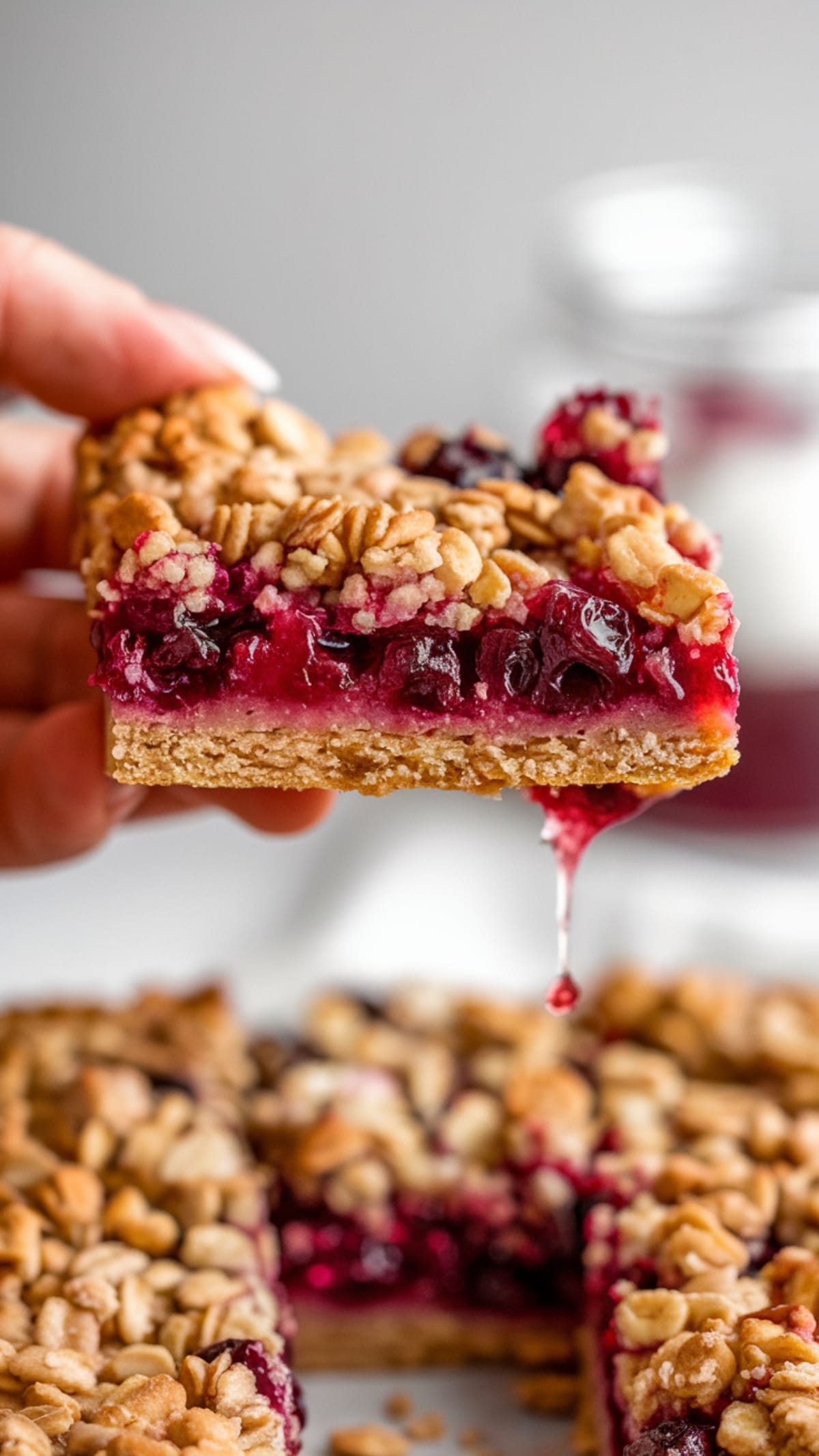 Winter Warmth: Oatmeal Cranberry Bars That Melt in Your Mouth